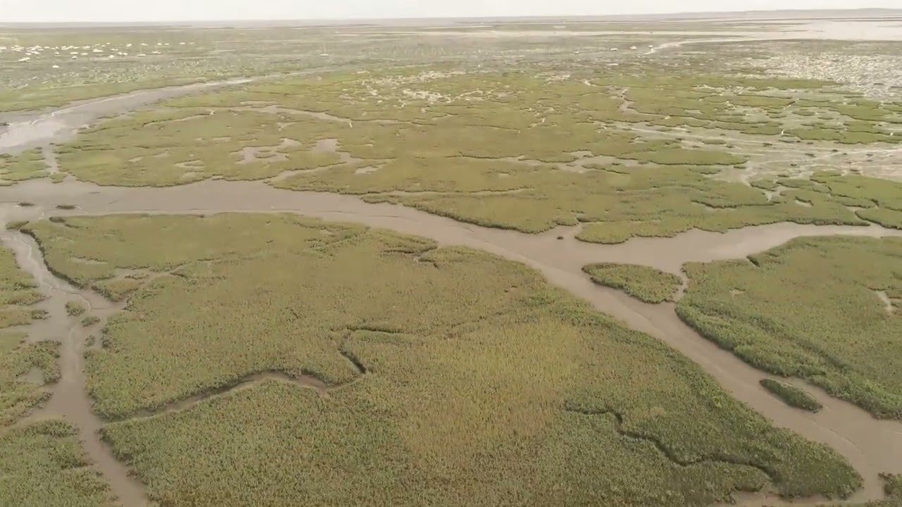 Ares, bassin d'Arcachon - drone 4k