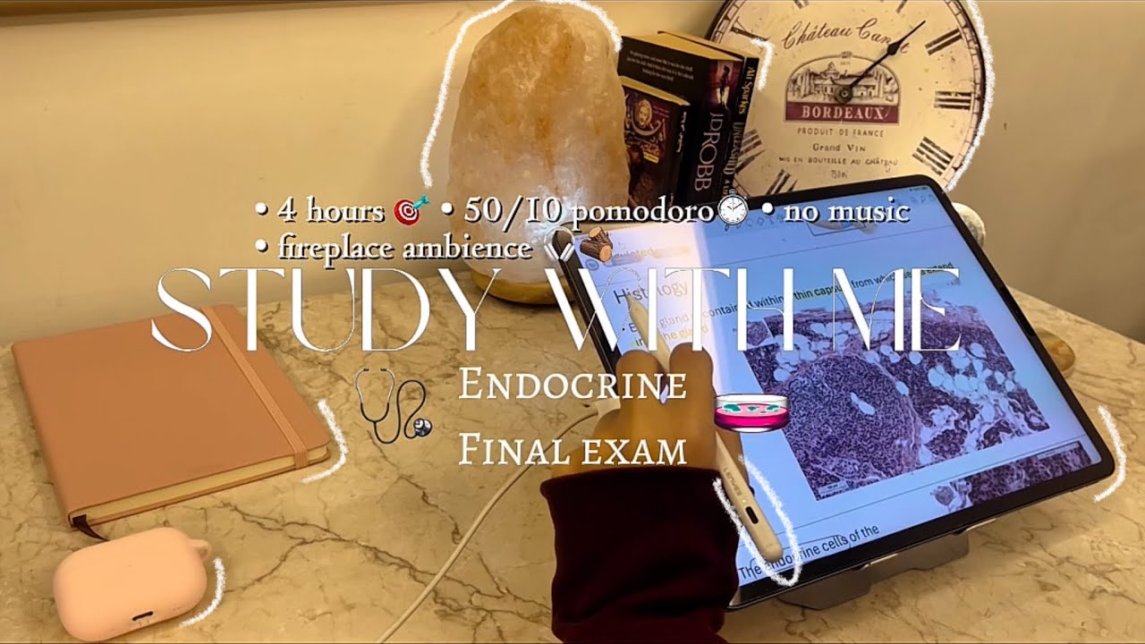 (med school FINALS) 4-HOURS study with me🩺 | 50/10 pomodoro | no music - fireplace crackling sounds🔥
