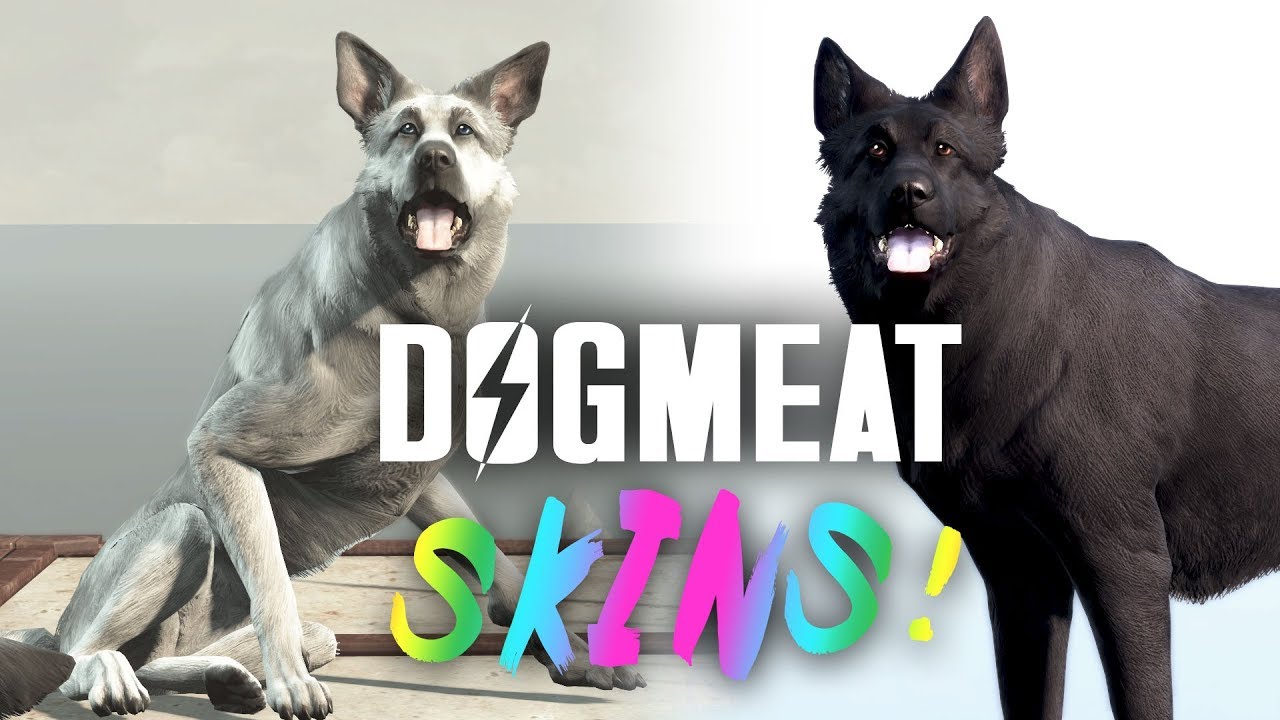 Dogmeat Skins! Plus, New Dogs & Pip-Boy Skins - Fallout 4 Creation Club Update