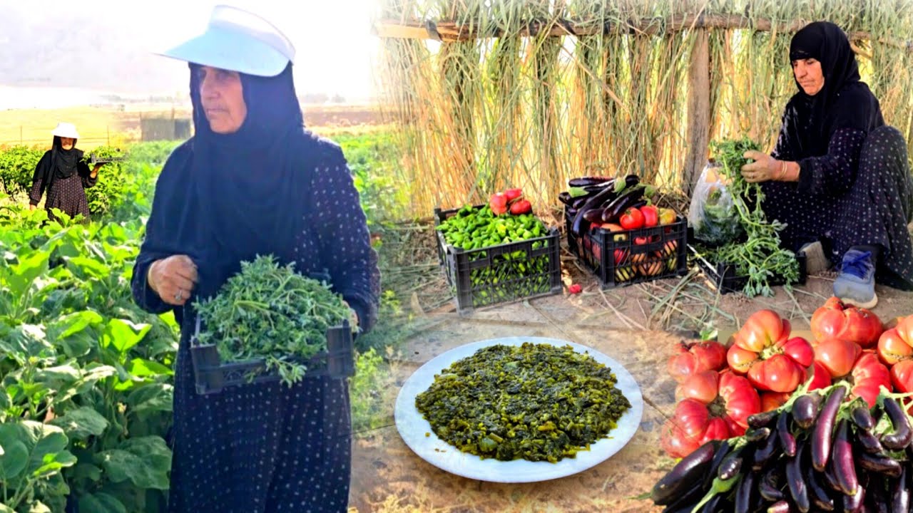 Village life in Iran: Cooking The easiest purslane borani  | village cooking | ILAM
