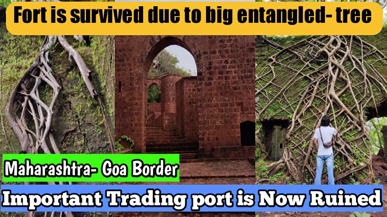 Reddy Fort Maharashtra - Yashwantgad, Fort is survived due to entangled tree- Important trading port