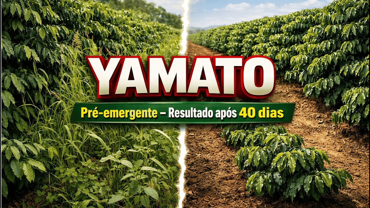 RESULTADO DO YAMATO PRÉ EMERGENTE APÓS 40 DIAS DE APLICADO