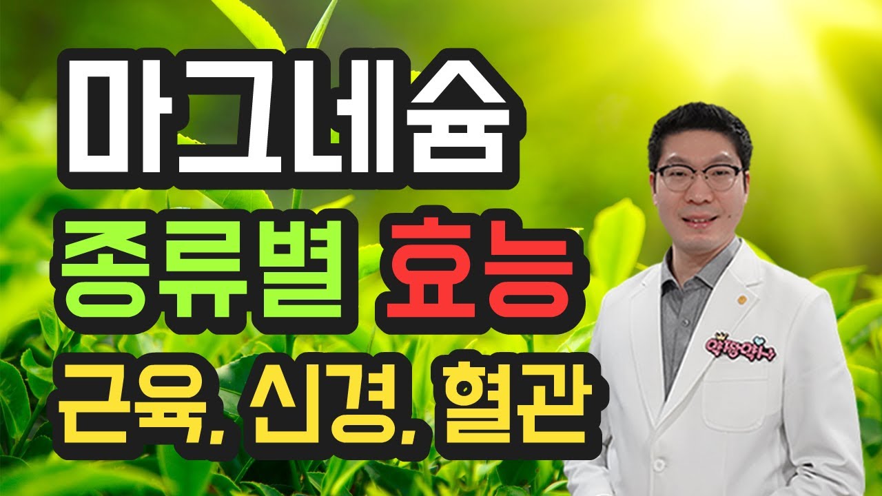 마그네슘 효능 - 종류별 차이, 흡수율, 흡수 속도, 주요 효능 - 산화 마그네슘, 락트산 마그네슘, 글루콘산 마그네슘,  피돌산 마그네슘 등