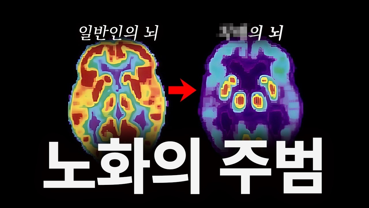 세계적인 두뇌 역노화 전문가가 말하는 「뇌에 가장 치명적인 행동 1가지 」