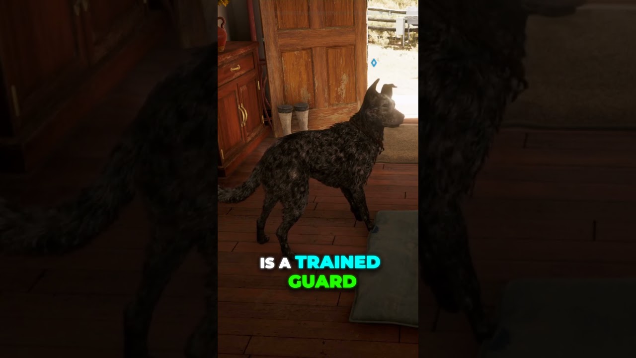 THE DARK SECRET BEHIND BOOMER: FAR CRY 5 LORE #shorts #gaming #farcry