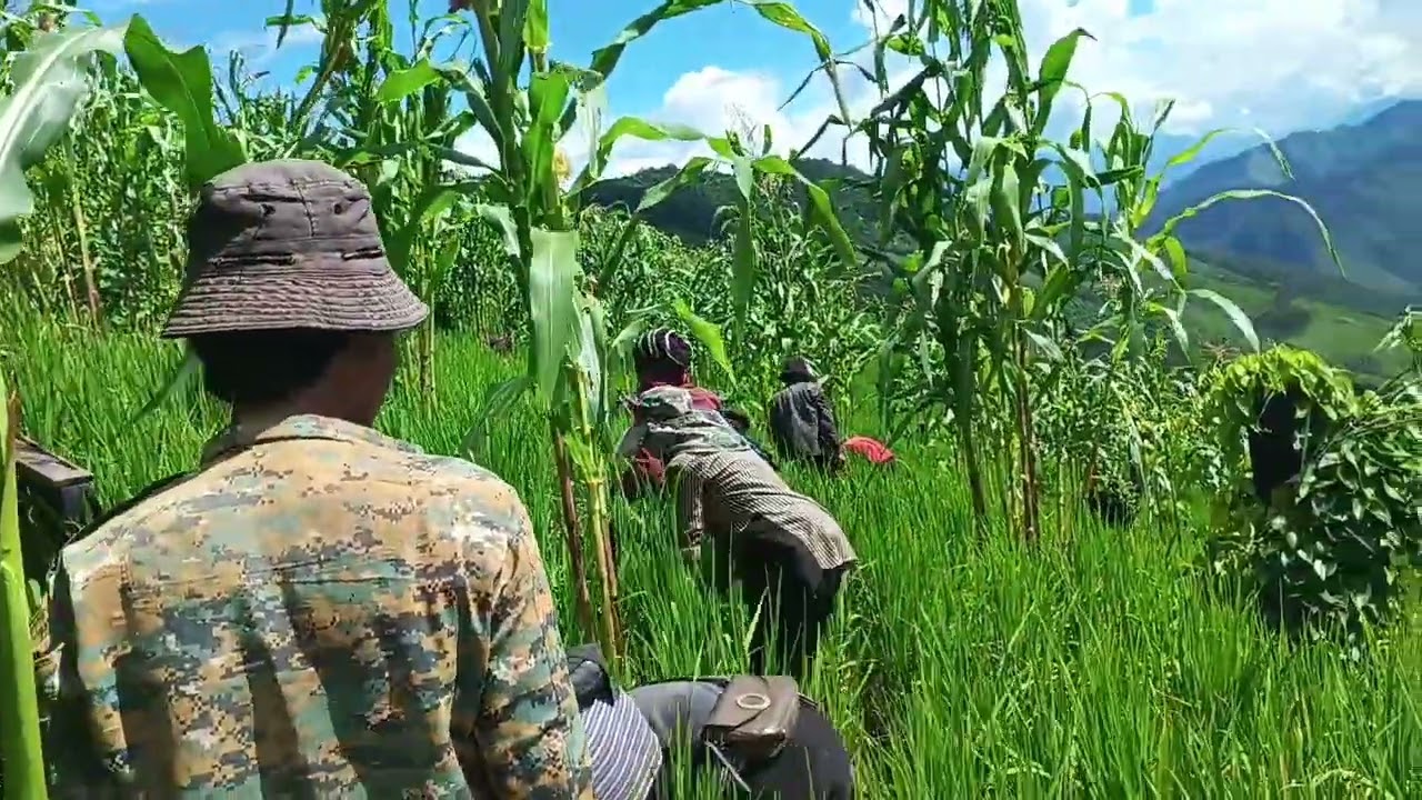 Agriculture 