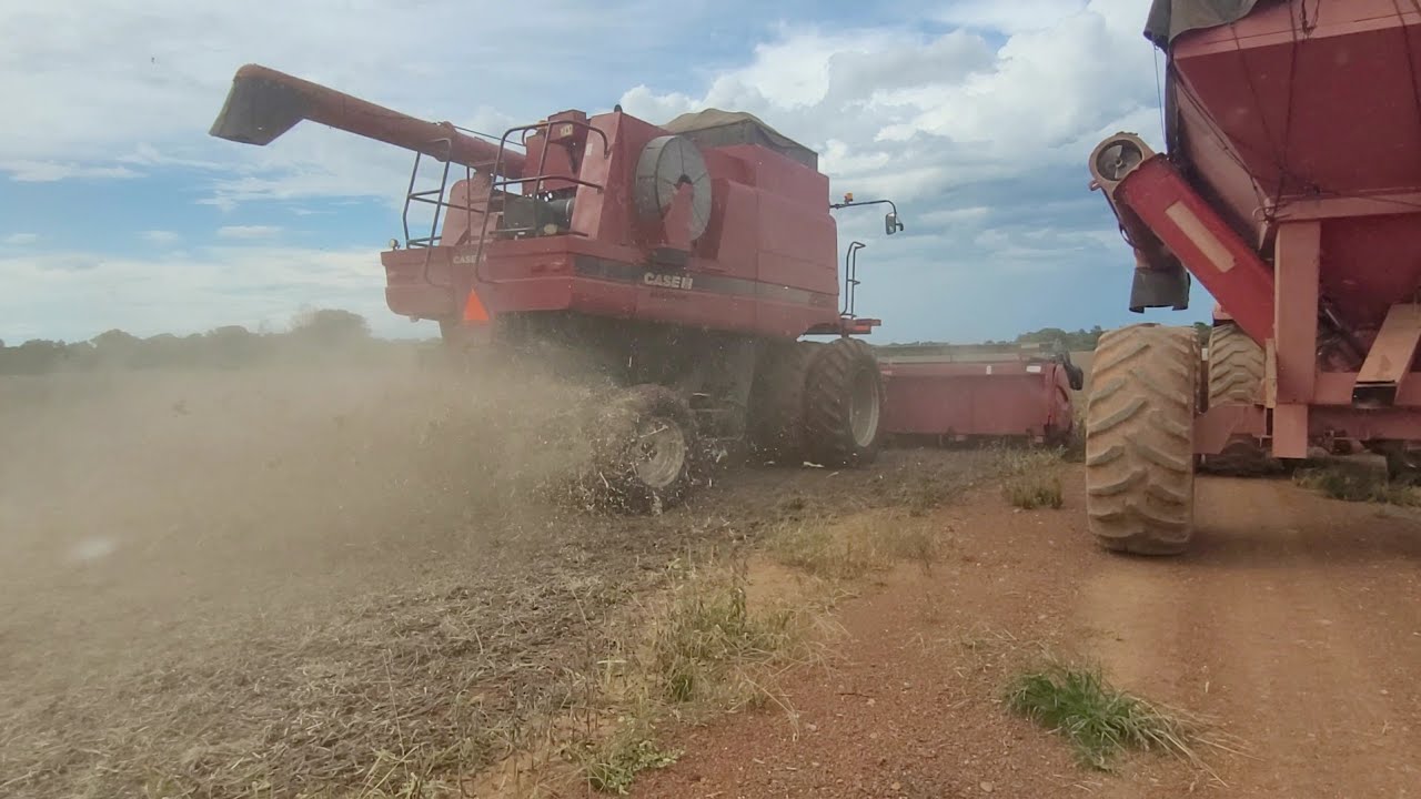 COMEÇOU A COLHEITA DO SOJA NO TOCANTINS 🌱 