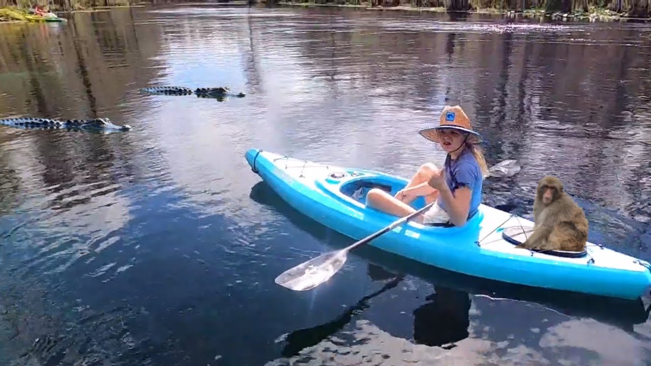 KAYAK SILVER SPRINGS & Florida wild Monkeys