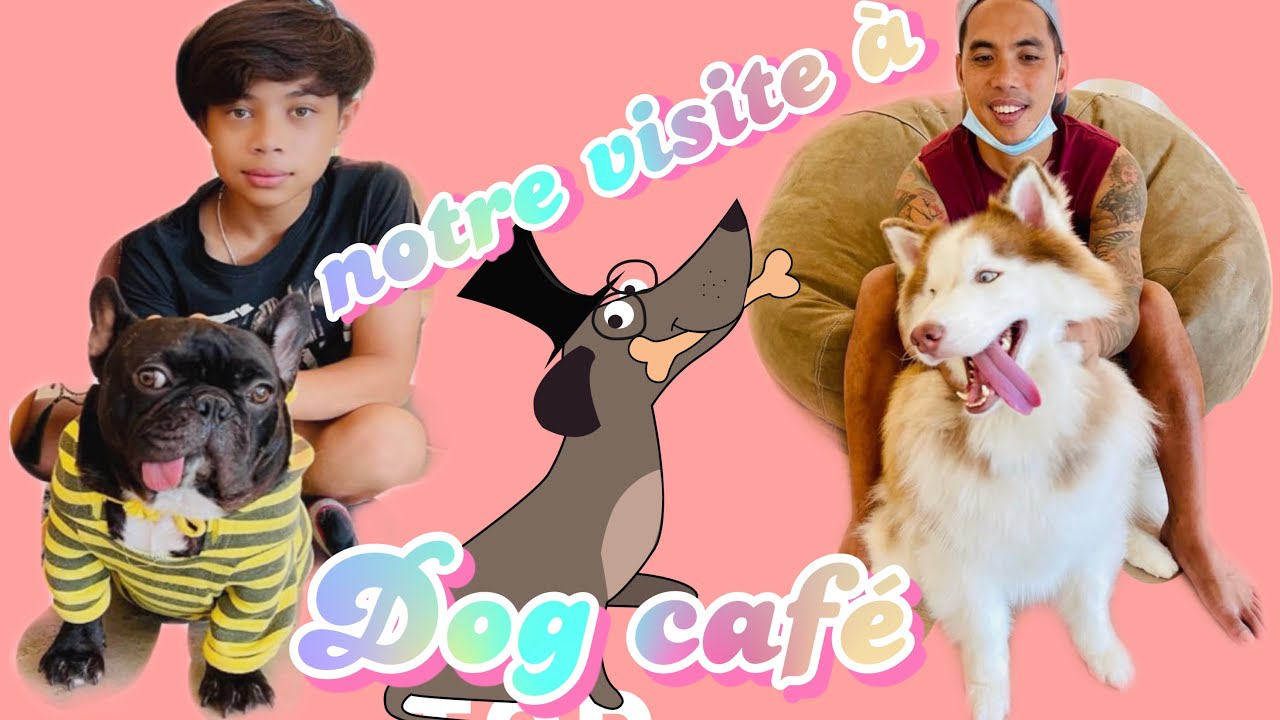 Dog cafe , Le café avec les chiens