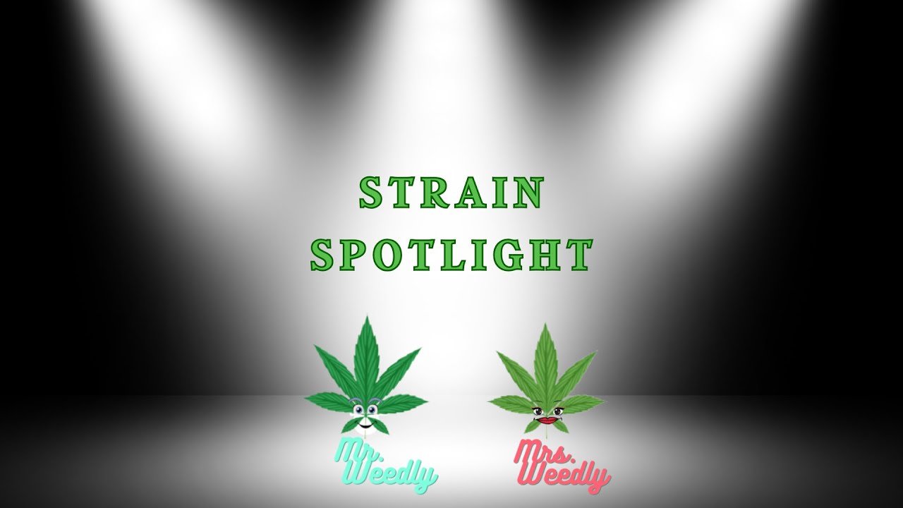 Strain Spotlight Black Runtz