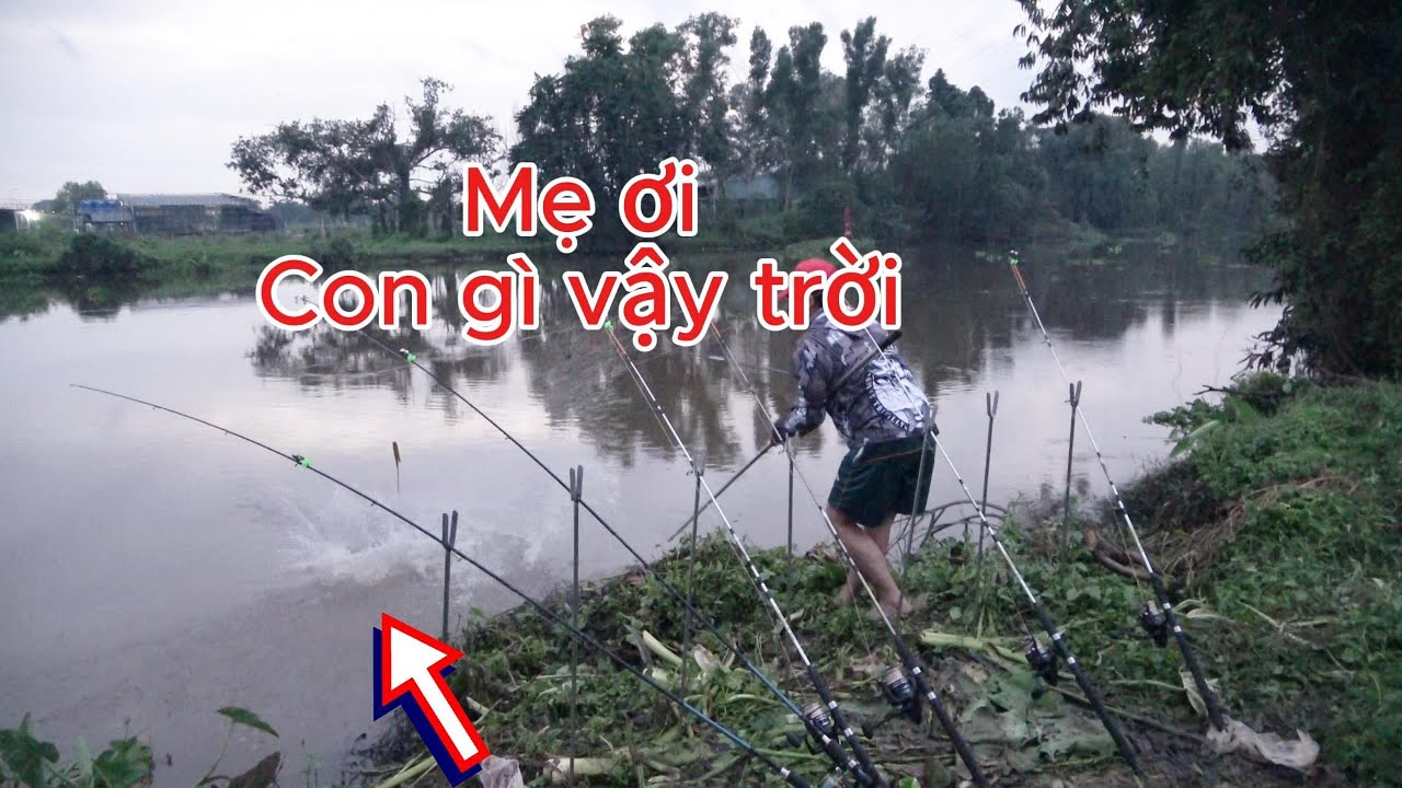 Con sông có nhiều cá khủng ở củ chi