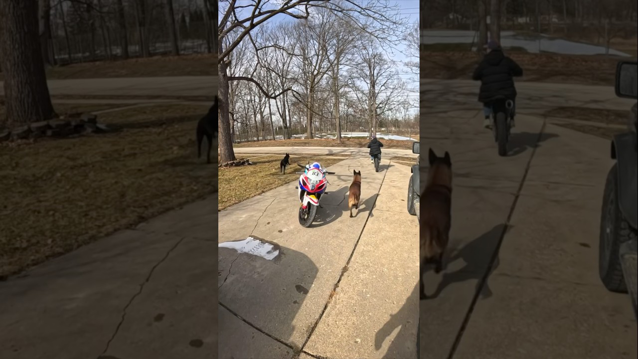 Я что, потерял ориентацию на кроссовом мотоцикле? #fypシ゚viral #detroit #bikelife #motorcycle #fun...
