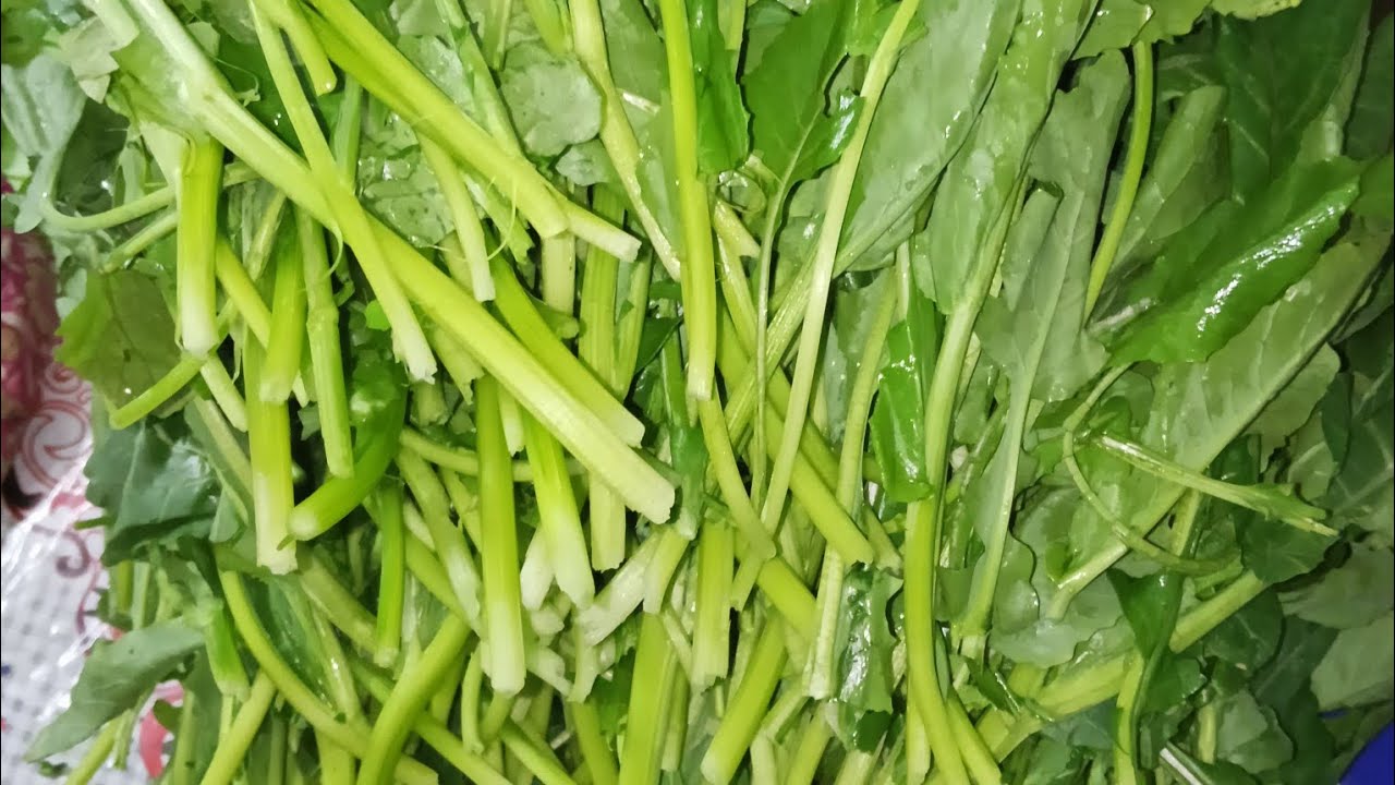میری اسپیشل ڈیشیز   🥰🇵🇰👍🌹