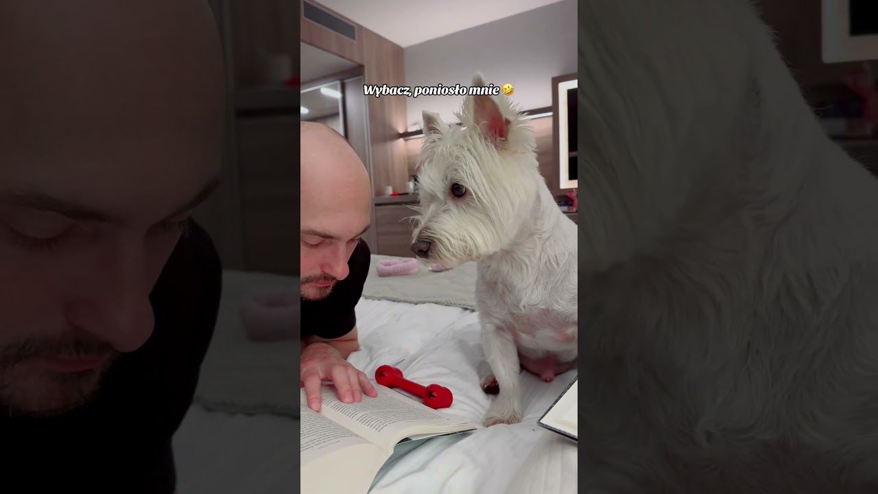Pan Hektor w potrzebie 😂
