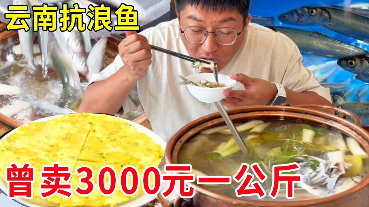 云南抚仙湖边吃“水中黄金”抗浪鱼，当年曾卖3000元一公斤，极致鲜美太过瘾#麦总去哪吃