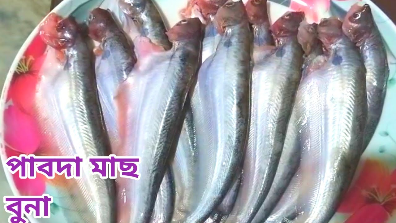 পাবদা মাছ বুনা ll পাবদা মাছের রেসিপি ll Pabda Fish Recipe ll