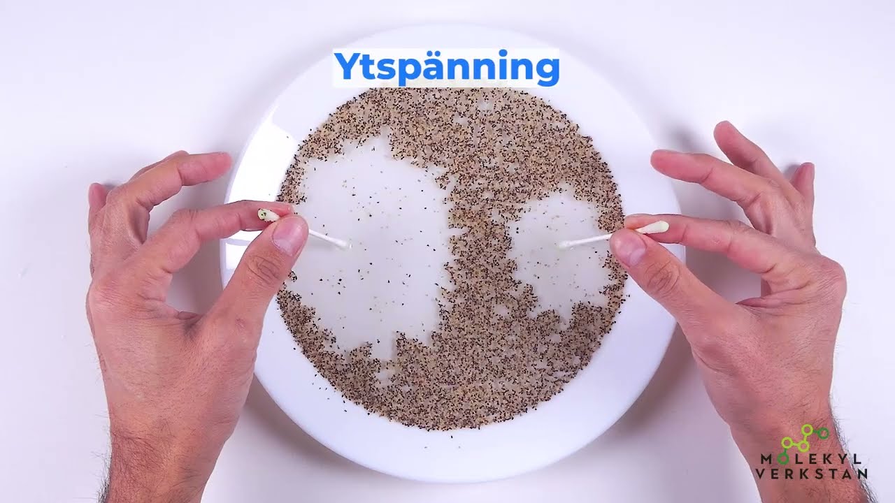 VATTEN OCH PEPPAR EXPERIMENT | WATER AND PEPPER EXPERIMENT