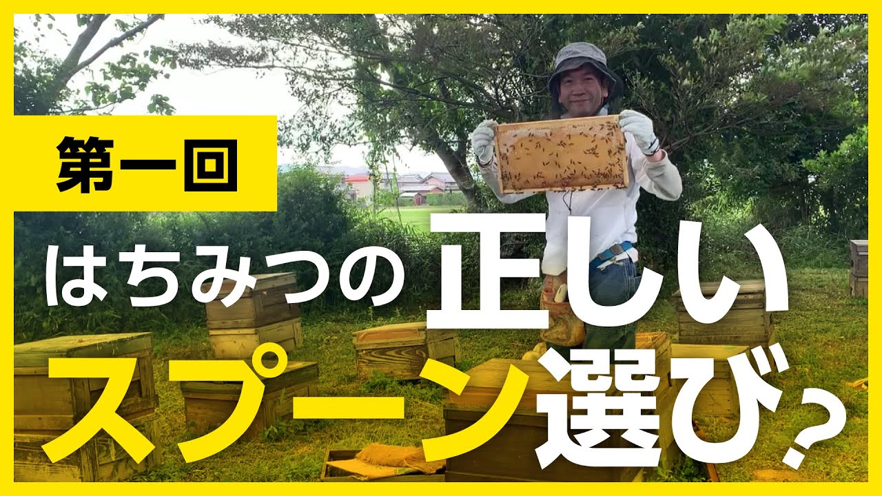 【第一回】間違いだらけのはちみつ選び【正しいスプーン選び？】