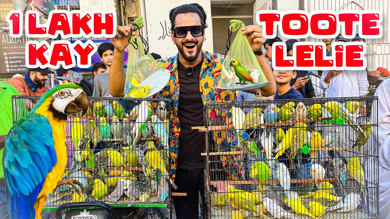 TOOTE LENE GAE POLICE KAY DANDE PAR GAE 😂| PET VLOG | MISHKAT KHAN | The fun fin