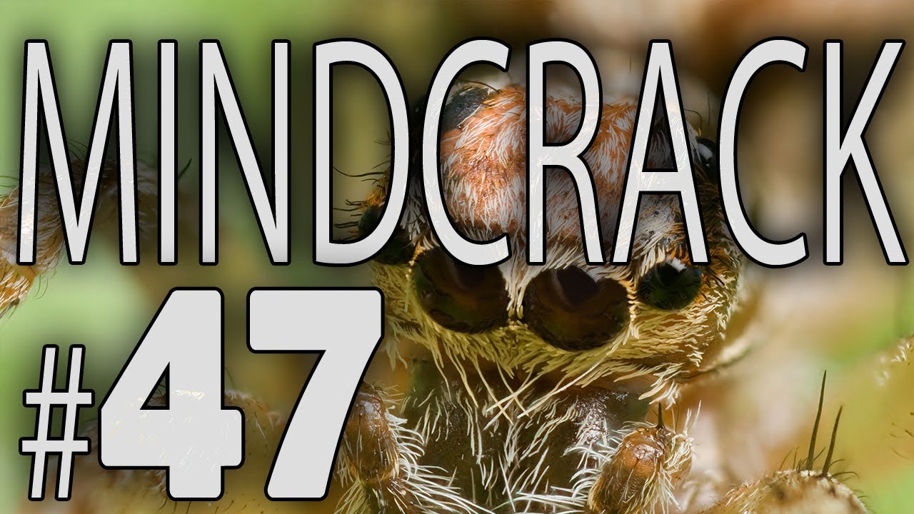 Mindcrack Number 47 - 