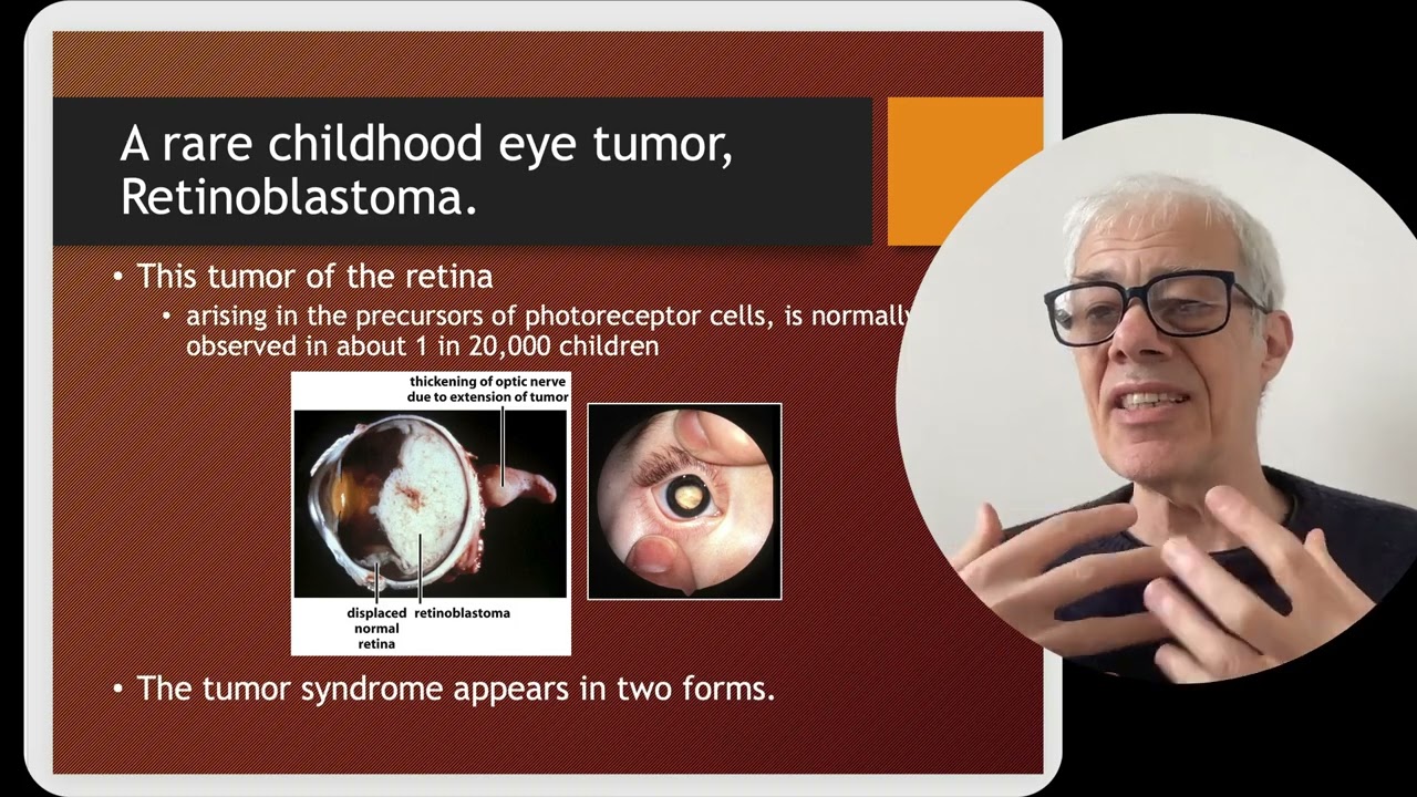 The Tumour Suppressor protein, Retinoblastoma