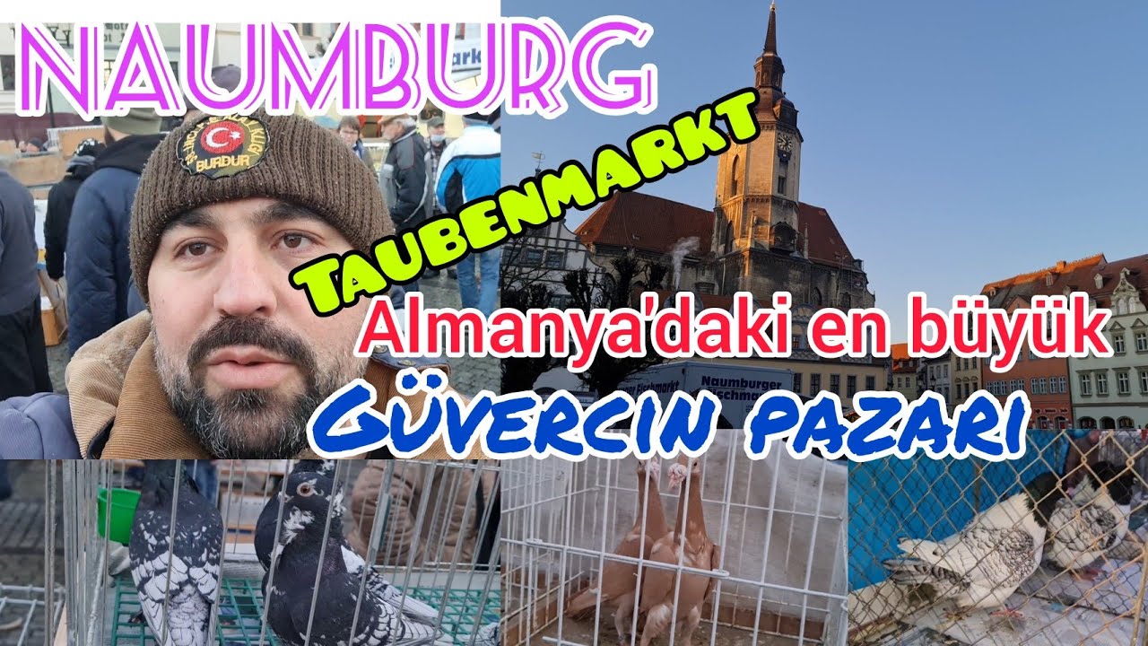 Almanya'daki en büyük güvercin pazarı Naumburg Taubenmarkt#aksoyfiloelvanguvercinleri