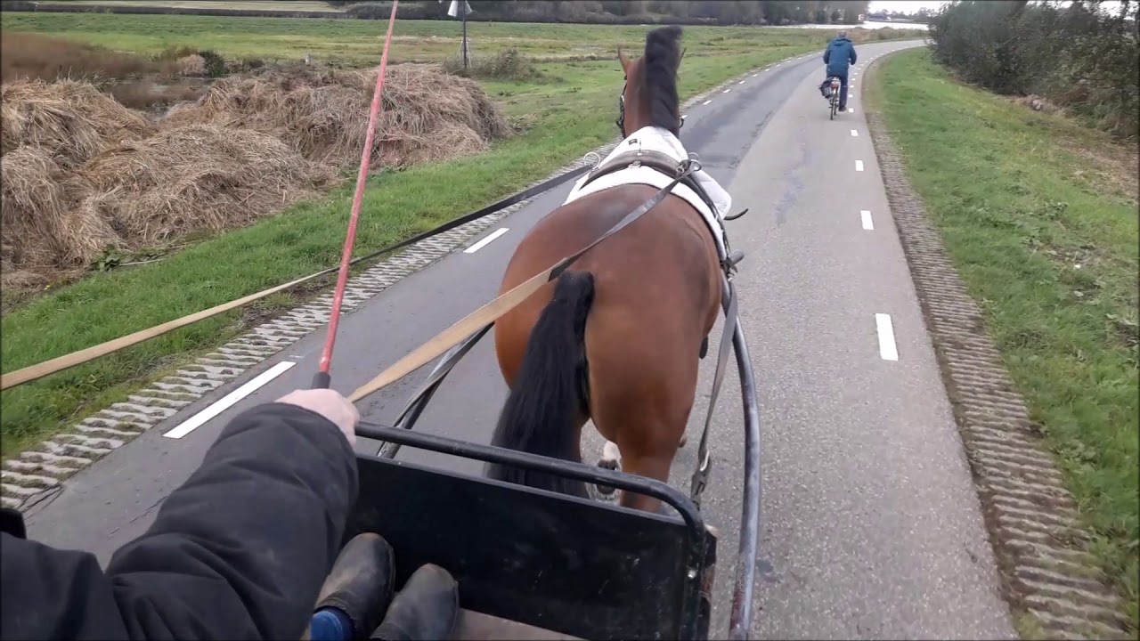Vlog #40 *OnTour* Henk Hammers