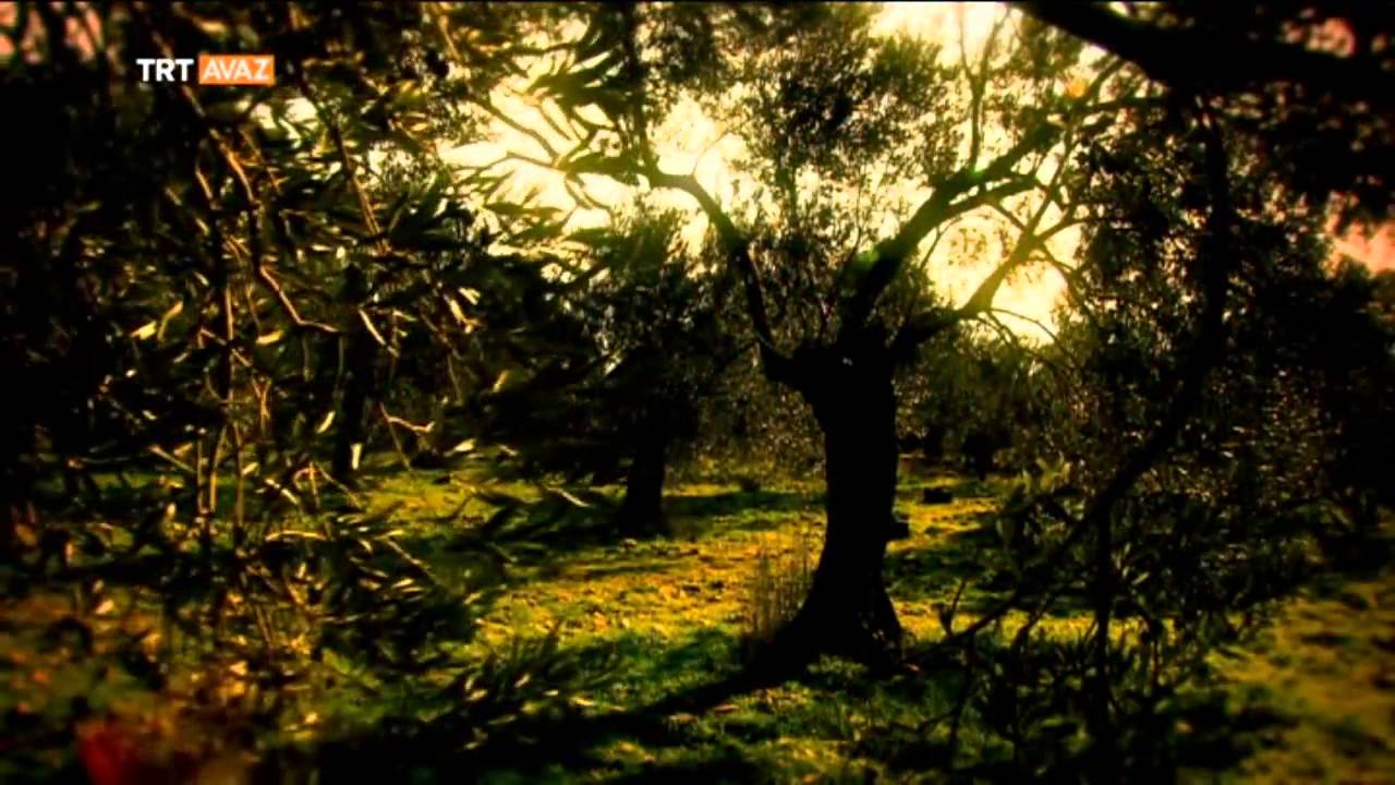 El Ğaniyy - Esma-ül Hüsna - TRT Avaz