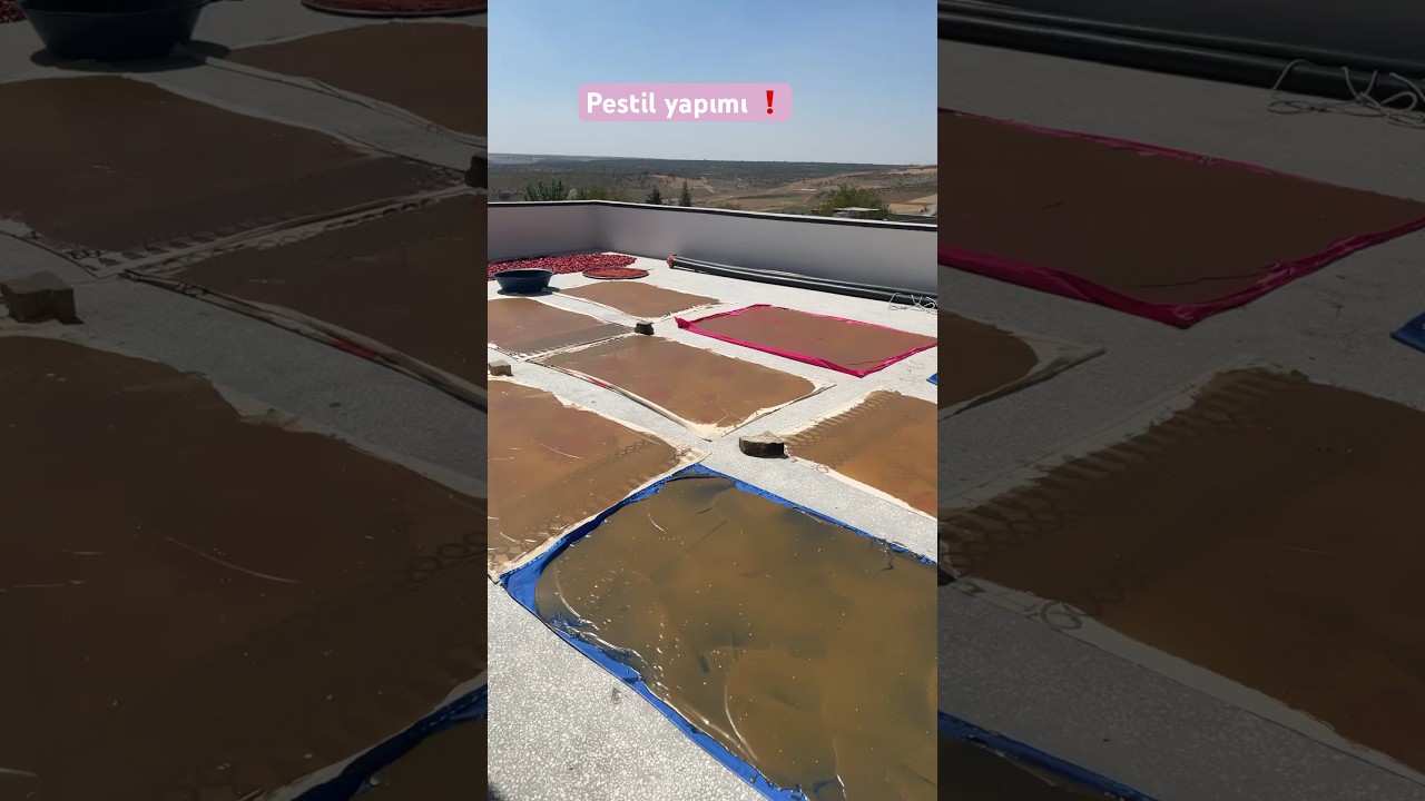 Pestil yapımı🍇❗️ (k&ouml;y vlog) #summer #gastronomia #antep