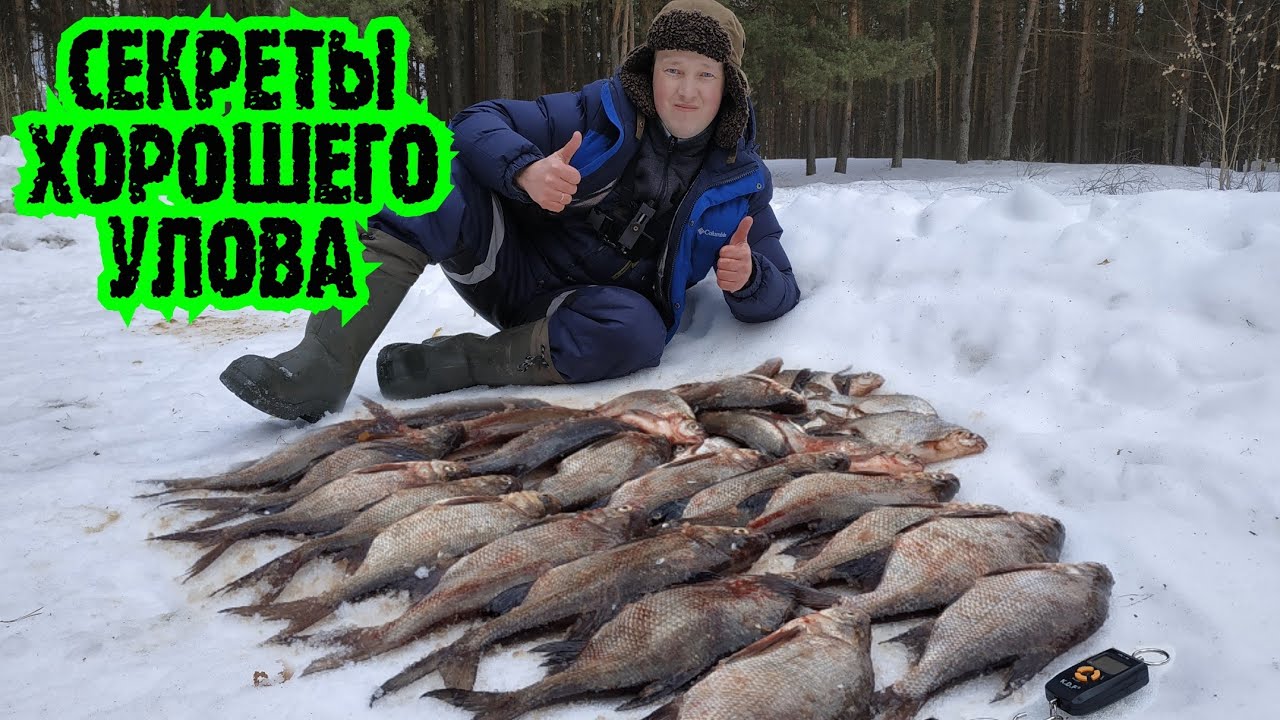 ЛУЧШАЯ РЫБАЛКА в сезоне fishing 2022!!! 2-ая часть.