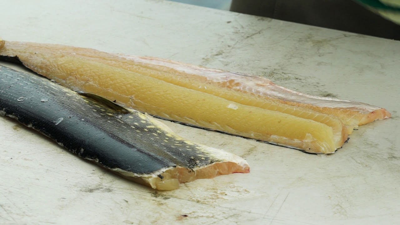 Filetage et Conservation du Brochet