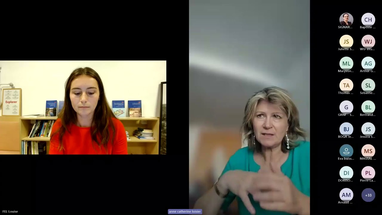 Webinaire 