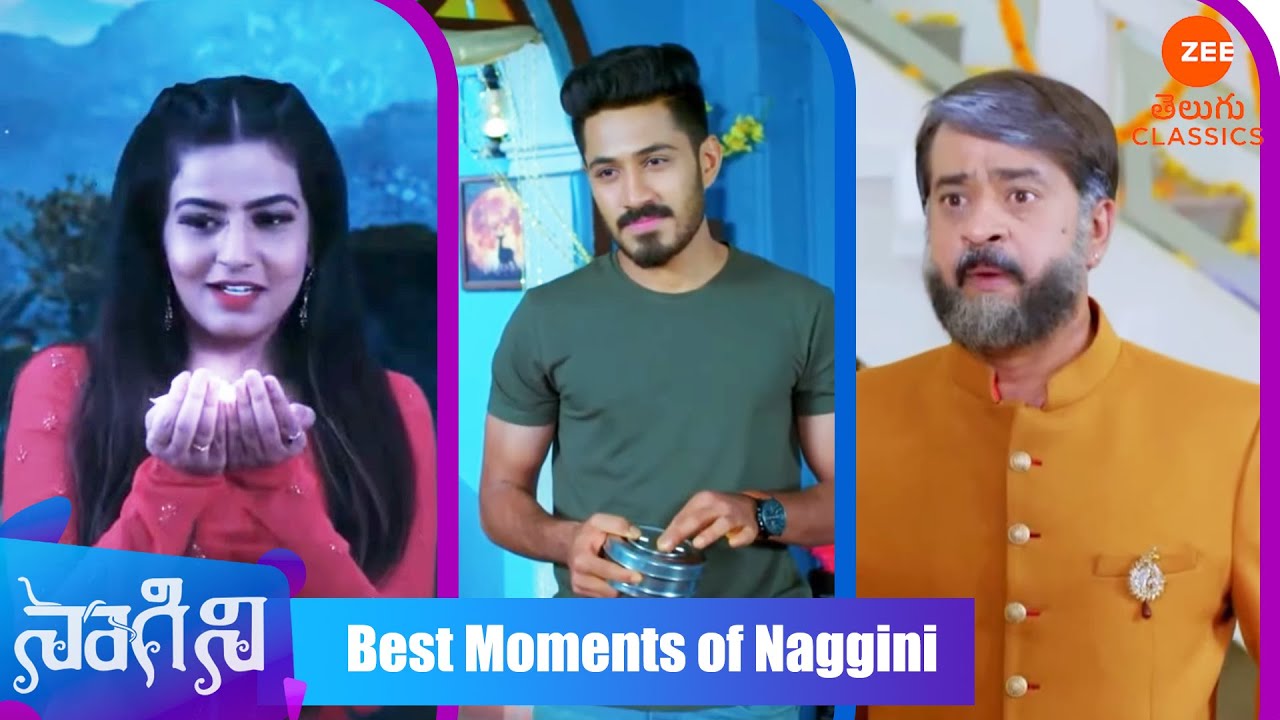 Best Moments Of Naagini | ప్రదర్శన యొక్క ఉత్తమ దృశ్యాలు | Compilation | Zee 5 Telugu TV Serial