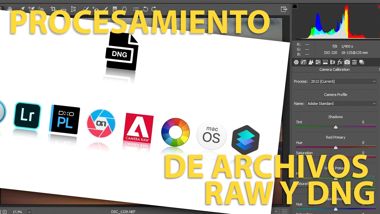 Procesamiento de im&aacute;genes RAW, caracter&iacute;sticas  y aplicaciones para realizar un revelado.