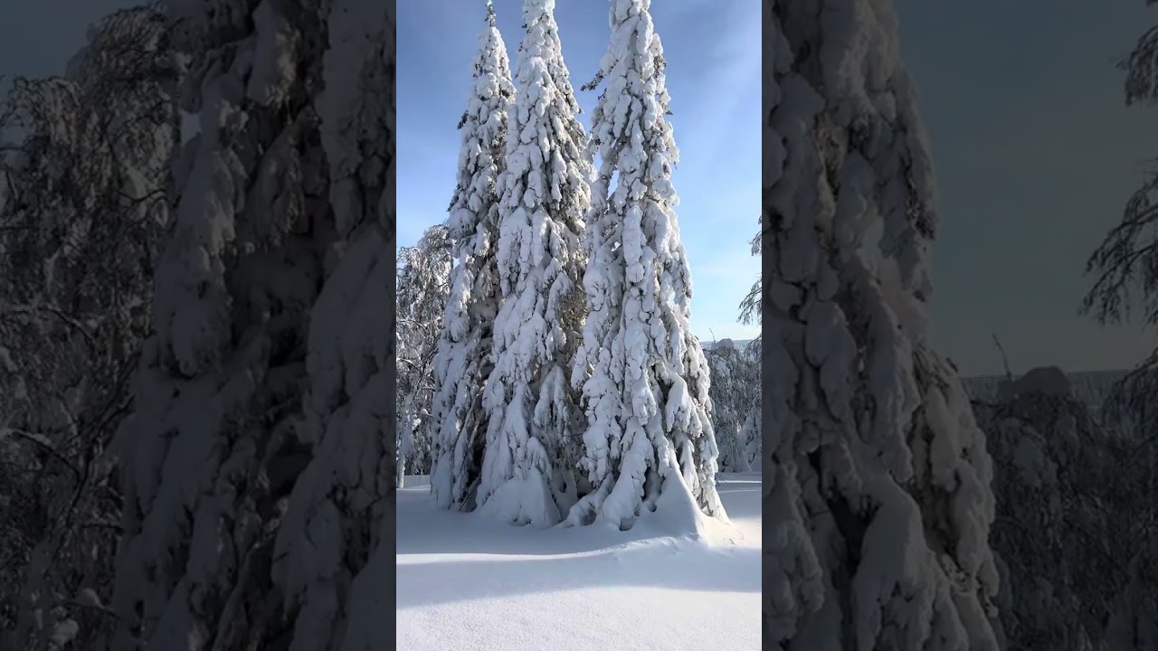 Чудесный вид, прекрасная погода, потрясающий снег!!