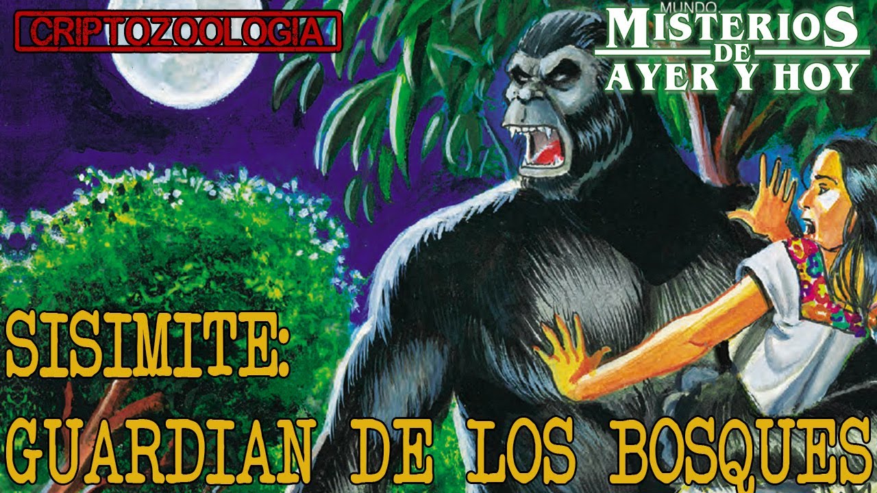 Criptozoología: El Sisimite | Guardián De Los Bosques