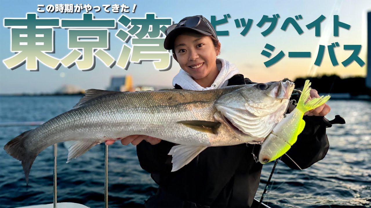 でっかいやつにでっかいやつが・・・この時期がやってきた！！【東京湾シーバス】