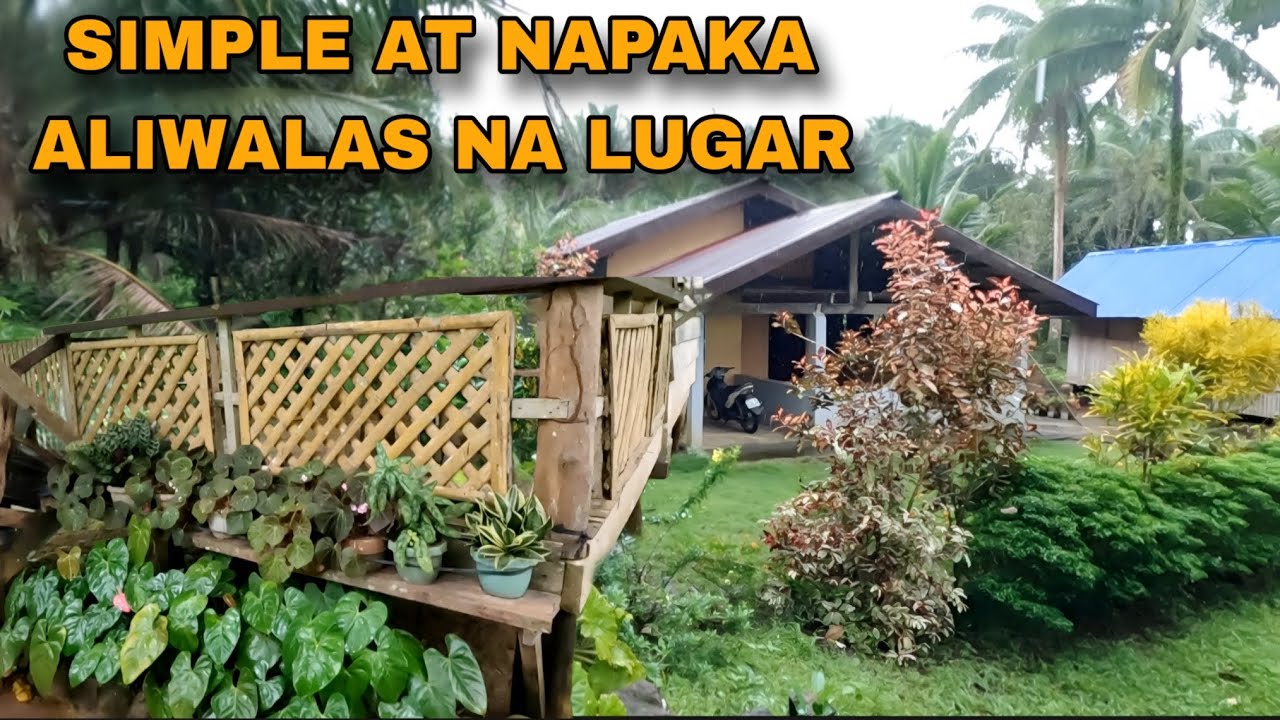 Simple at ma aliwas na lugar huminge tayo ng ibat ibang pananim na ornamental plants