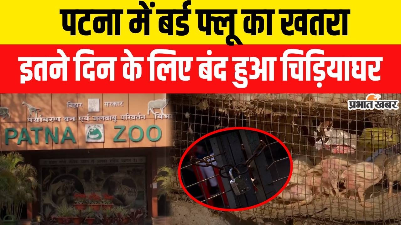 Patna Bird flu: Patna में Bird Flu के कारण बंद हुआ Zoo, Alert जारी | Bihar News