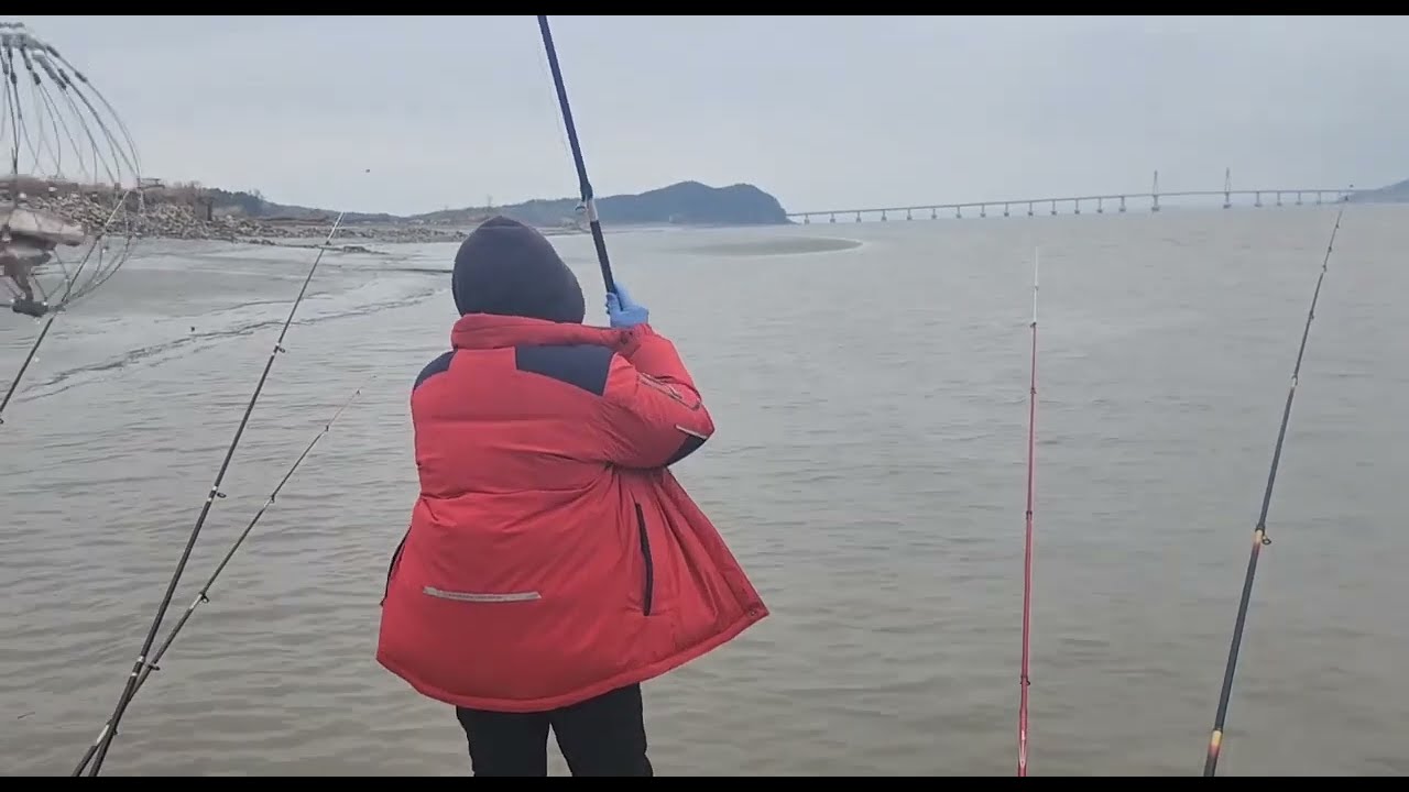 강화교동 참게 70마리 잡고~오후 선두리 숭어낚시 답사했어유~~~