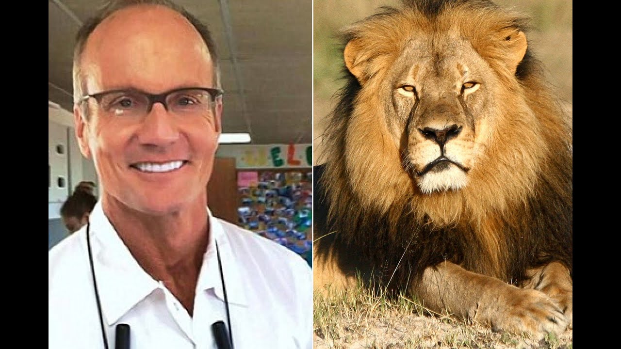 Walter Palmer, who killed Cecil the lion, back to work