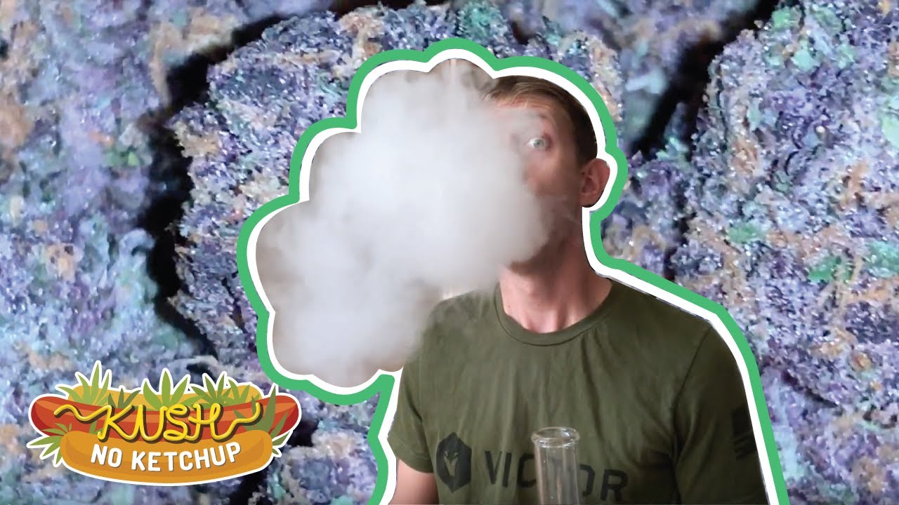 Forbidden Fruit Strain Review | KUSH NO KETCHUP
