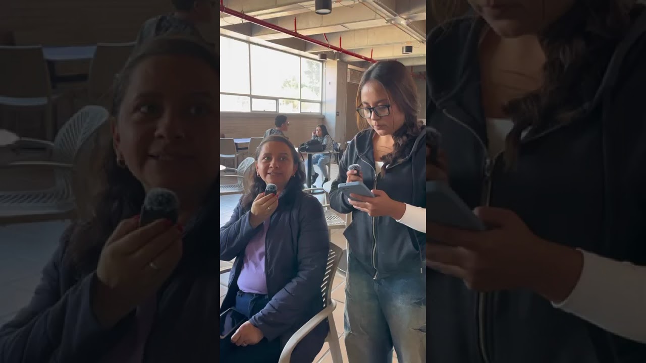 Entrevistas a Docentes- Lenguas extranjeras.