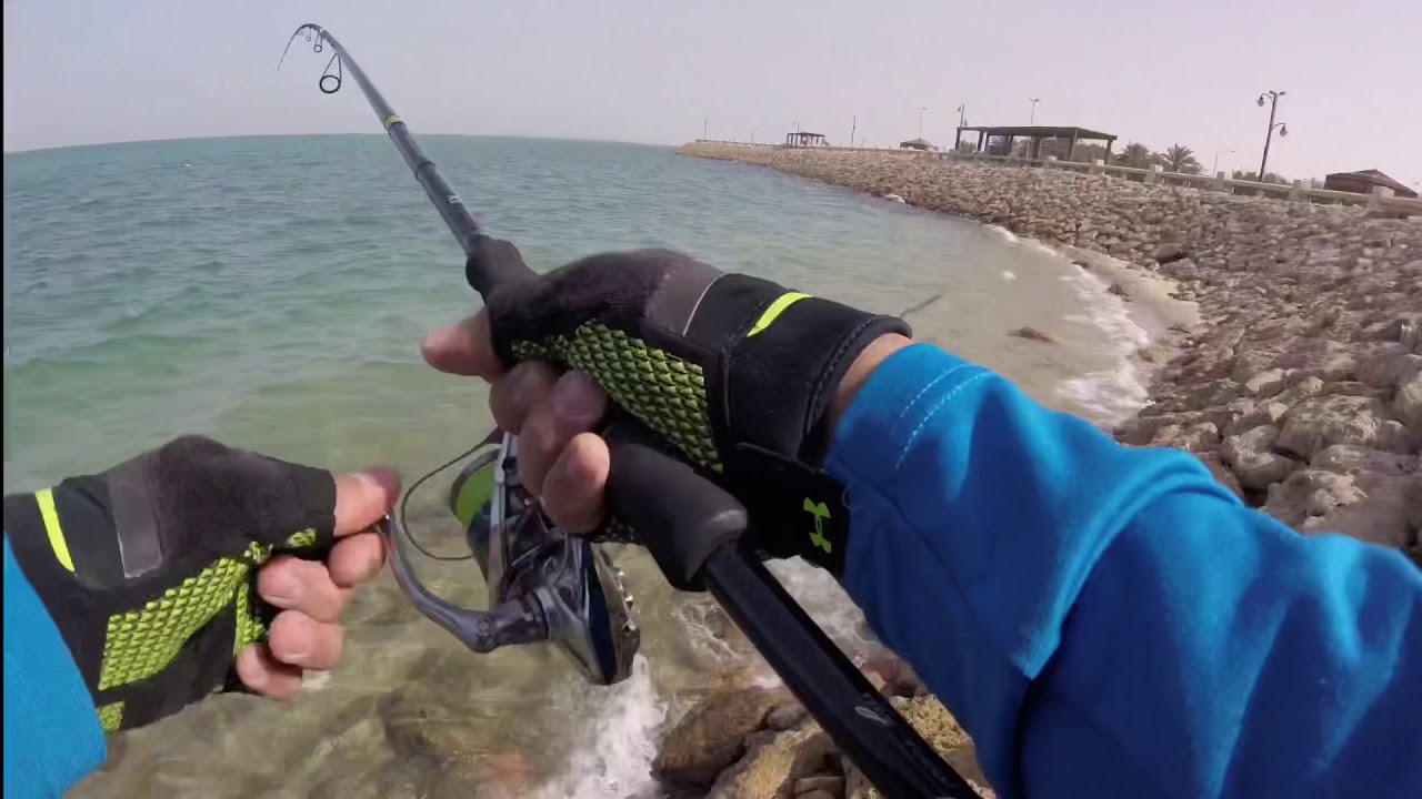 Queen Fishing