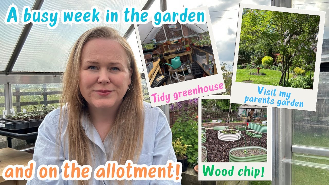 A busy week at the allotment and in the garden!