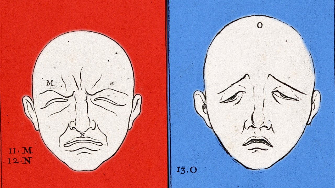 Как работают эмоции | Нейробиолог Лиза Фельдман Барретт
