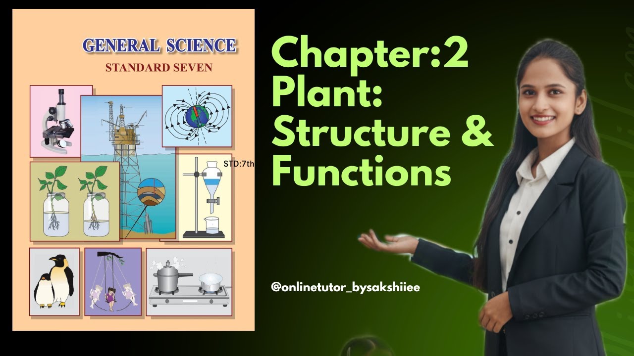 7th science Chapter 2 Plant: Structure & Function