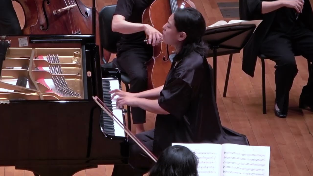 HJ Lim conducts Haydn - Piano Concerto No. 11 in D major, Hob. XVIII/11 임현정 하이든 피아노 콘체르토