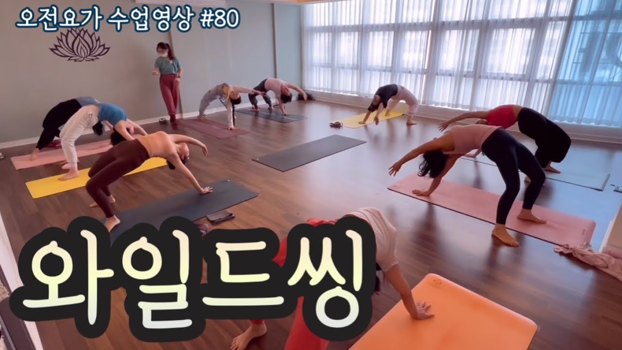 [엔젤요가] 오전요가 수업영상 #80 | 와일드씽