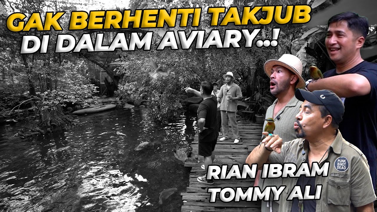 DARI TOMMY ALI RIAN IBRAM SAMPE VEGA DARWANTI NYERBU DEHAKIMS HARI INI